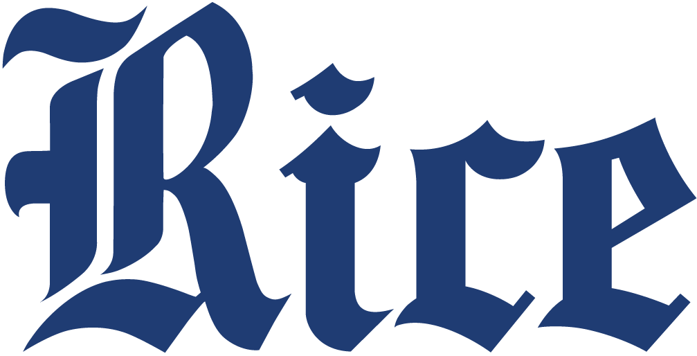 Rice Owls 2010-2016 Wordmark Logo iron on transfers for T-shirts